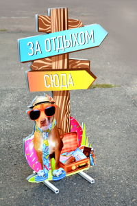 Штендери Штендери